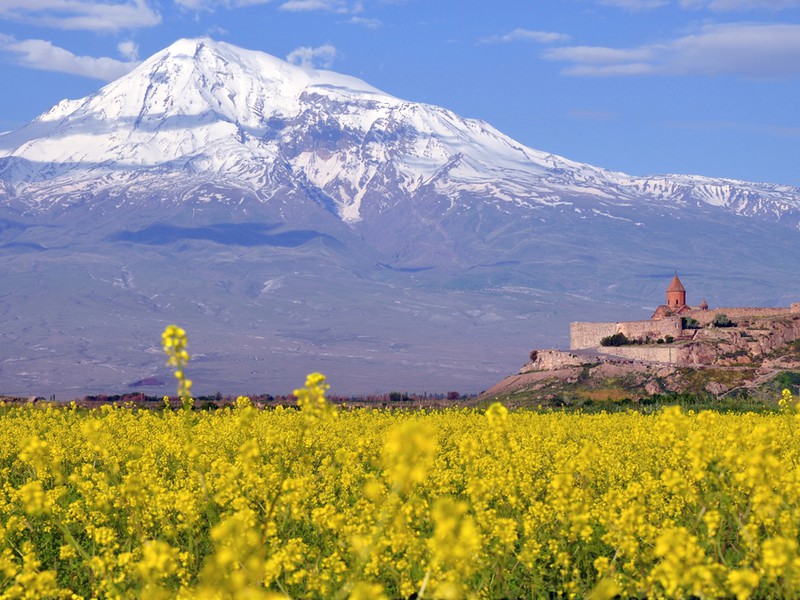Арарат